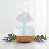 Cloud Oasis Humidifier™